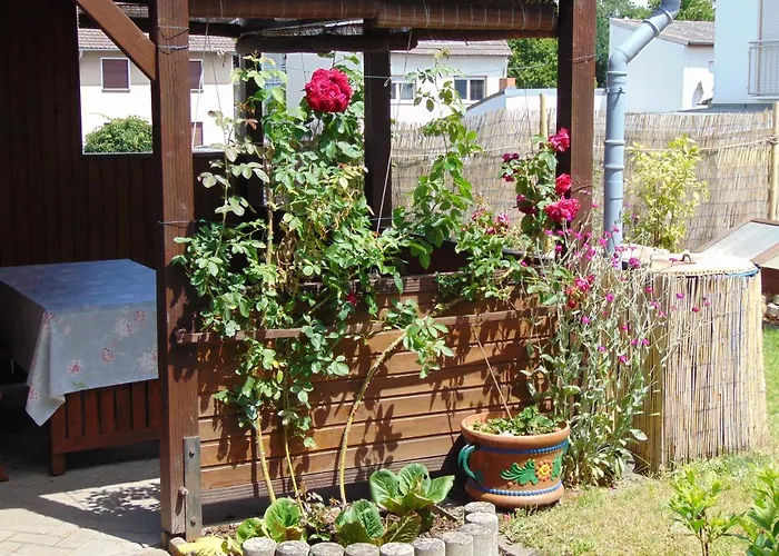 Astor Zwischen Rhein Und Mosel * Plaidt