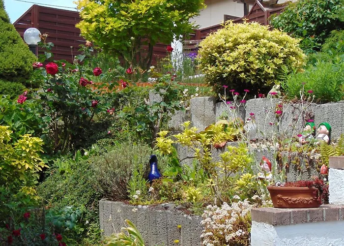 Astor Zwischen Rhein Und Mosel